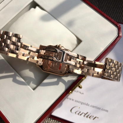 Parisian Panthère de Parisian watch 22 x 30 mm 3641
