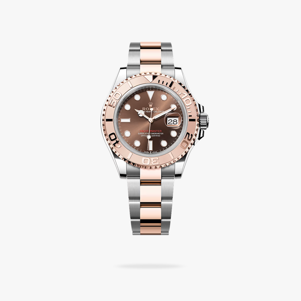Regency Marine Master 40 mm Timeless Everose Bezel Chocolate Dial 126621 2185